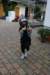 img_7786_small.jpg