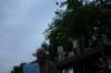 img_8251_small.jpg