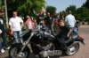 img_65082_small.jpg